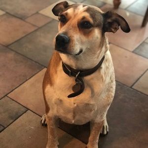 Meet your Posher, Claire